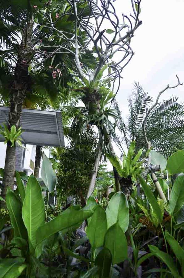 Beluran Serene Guesthouse Selemadeg المظهر الخارجي الصورة