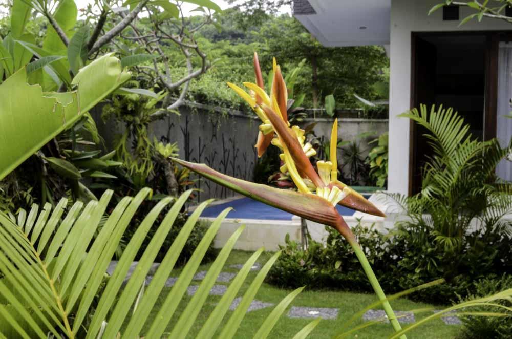 Beluran Serene Guesthouse Selemadeg المظهر الخارجي الصورة