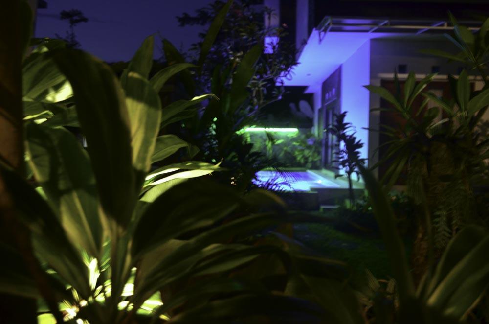 Beluran Serene Guesthouse Selemadeg المظهر الخارجي الصورة