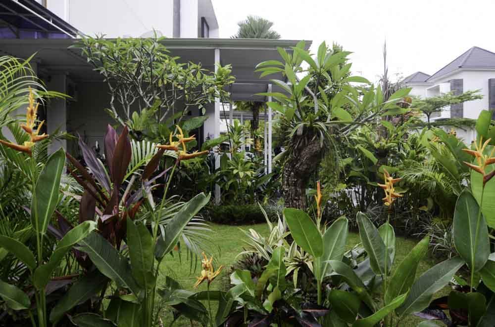 Beluran Serene Guesthouse Selemadeg المظهر الخارجي الصورة