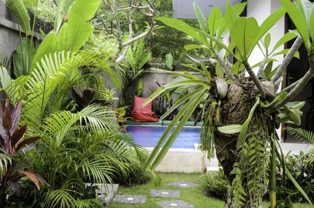 Beluran Serene Guesthouse Selemadeg المظهر الخارجي الصورة