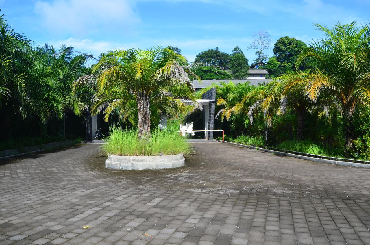 Beluran Serene Guesthouse Selemadeg المظهر الخارجي الصورة